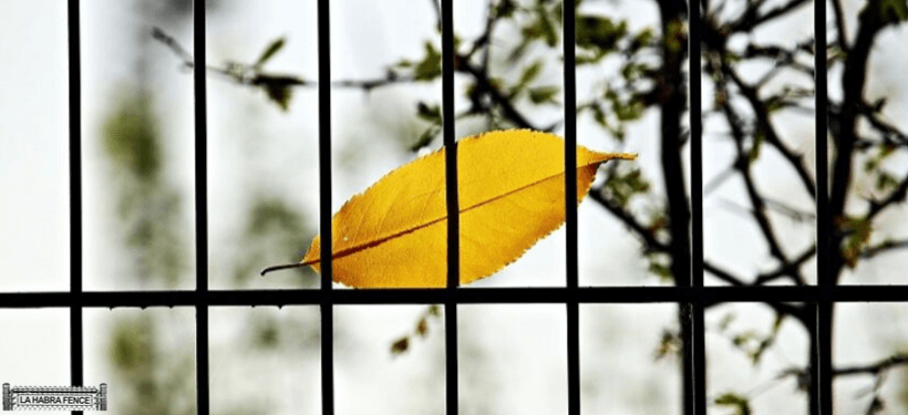 Why Fall Is the Best Time to Install a Fence