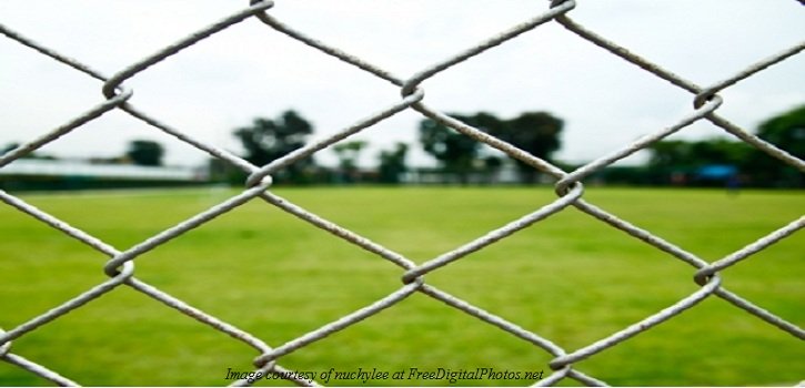 Beautify and Hide Your Chain Link Fence