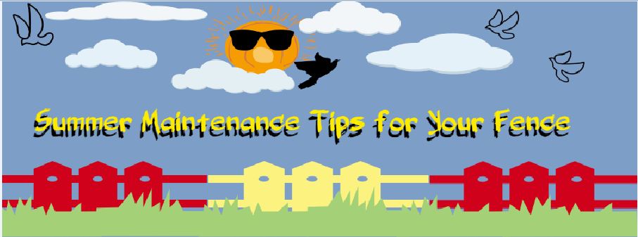 Summer Maintenance Tips for Your Fence